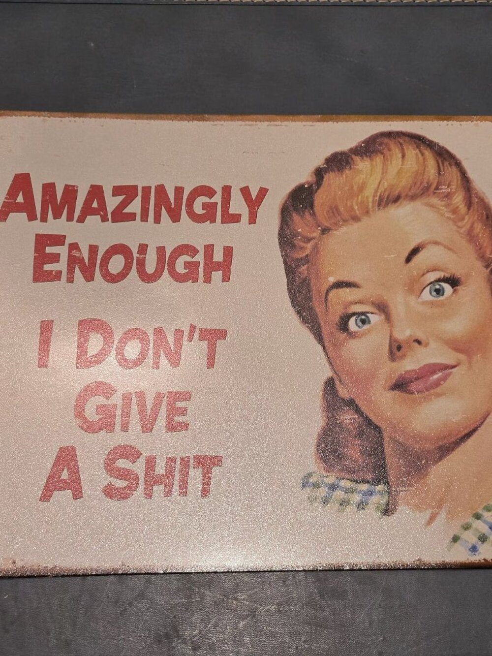 Sassy Tin Sign